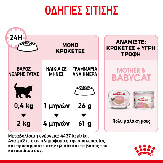 ROYAL CANIN MOTHER & BABYCAT ROYAL CANIN MOTHER & BABYCAT