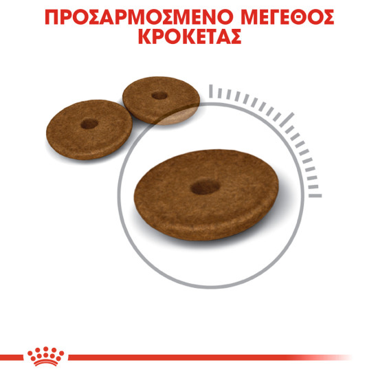 ROYAL CANIN DIGESTIVE CARE