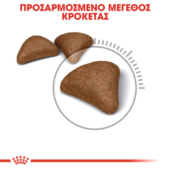 ROYAL CANIN HAIRBALL CARE ROYAL CANIN HAIRBALL CARE