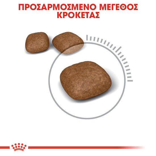 ROYAL CANIN URINARY CARE ROYAL CANIN URINARY CARE
