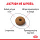 ROYAL CANIN APPETITE CONTROL ROYAL CANIN APPETITE CONTROL