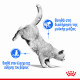 ROYAL CANIN LIGHT WEIGHT CARE ROYAL CANIN LIGHT WEIGHT CARE