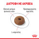 ROYAL CANIN LIGHT WEIGHT CARE ROYAL CANIN LIGHT WEIGHT CARE