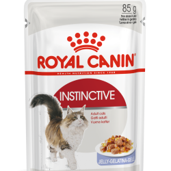 ROYAL CANIN ADULT INSTICTIVE JELLY 12X