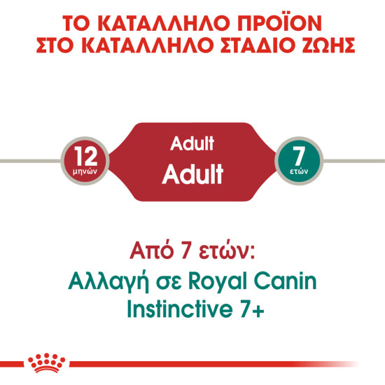 ROYAL CANIN ADULT INSTICTIVE JELLY 12X ROYAL CANIN ADULT INSTICTIVE JELLY 12X