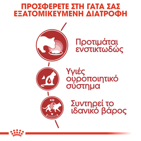 ROYAL CANIN ADULT INSTICTIVE JELLY 12X ROYAL CANIN ADULT INSTICTIVE JELLY 12X