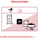 ROYAL CANIN ADULT INSTICTIVE JELLY 12X ROYAL CANIN ADULT INSTICTIVE JELLY 12X