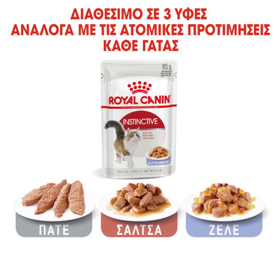 ROYAL CANIN ADULT INSTICTIVE JELLY 12X ROYAL CANIN ADULT INSTICTIVE JELLY 12X