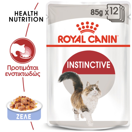 ROYAL CANIN ADULT INSTICTIVE JELLY 12X ROYAL CANIN ADULT INSTICTIVE JELLY 12X