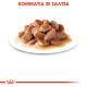 ROYAL CANIN ADULT INSTICTIVE +7 GRAVY 12X ROYAL CANIN ADULT INSTICTIVE +7 GRAVY 12X