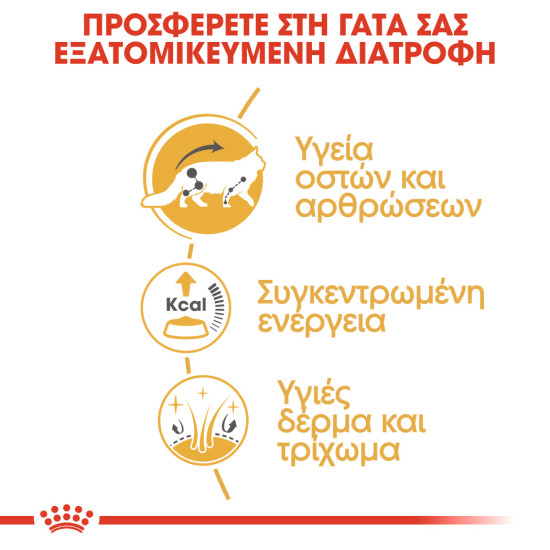 ROYAL CANIN WET MAINECOON 12X ROYAL CANIN WET MAINECOON 12X