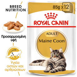 ROYAL CANIN WET MAINECOON 12X
