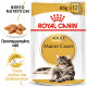 ROYAL CANIN WET MAINECOON 12X ROYAL CANIN WET MAINECOON 12X