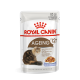 ROYAL CANIN AGEING +12 JELLY 12X ROYAL CANIN AGEING +12 JELLY 12X