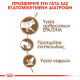 ROYAL CANIN AGEING +12 JELLY 12X ROYAL CANIN AGEING +12 JELLY 12X