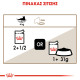 ROYAL CANIN AGEING +12 JELLY 12X ROYAL CANIN AGEING +12 JELLY 12X