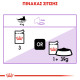 ROYAL CANIN STERILISED JELLY 12X ROYAL CANIN STERILISED JELLY 12X