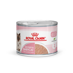 ROYAL CANIN BABYCAT CAN 12X