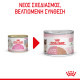 ROYAL CANIN BABYCAT CAN 12X ROYAL CANIN BABYCAT CAN 12X