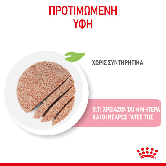 ROYAL CANIN BABYCAT CAN 12X ROYAL CANIN BABYCAT CAN 12X