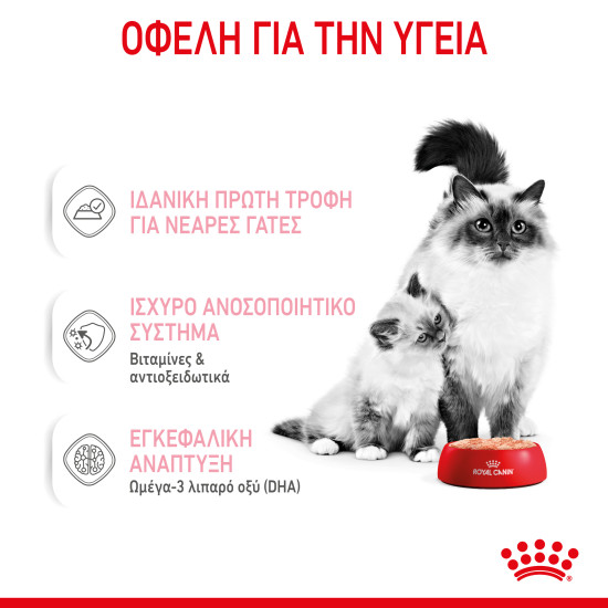 ROYAL CANIN BABYCAT CAN 12X ROYAL CANIN BABYCAT CAN 12X