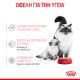 ROYAL CANIN BABYCAT CAN 12X ROYAL CANIN BABYCAT CAN 12X
