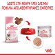 ROYAL CANIN BABYCAT CAN 12X ROYAL CANIN BABYCAT CAN 12X