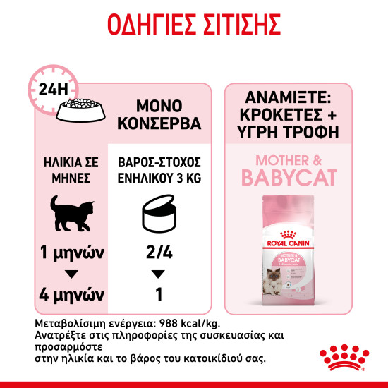 ROYAL CANIN BABYCAT CAN 12X ROYAL CANIN BABYCAT CAN 12X
