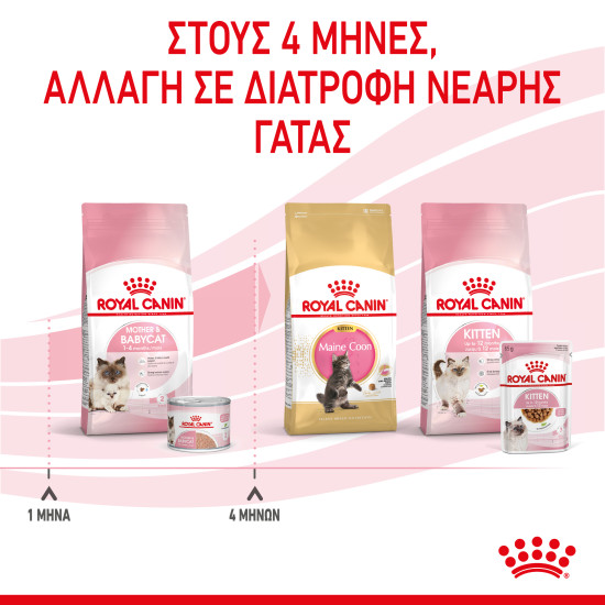 ROYAL CANIN BABYCAT CAN 12X ROYAL CANIN BABYCAT CAN 12X