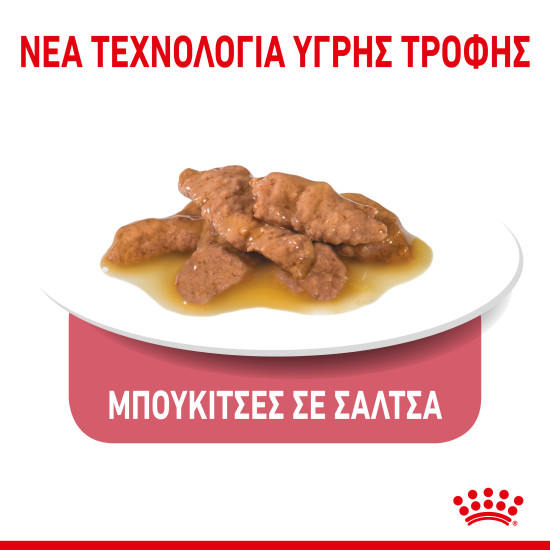 ROYAL CANIN INDOOR GRAVY 12X ROYAL CANIN INDOOR GRAVY 12X