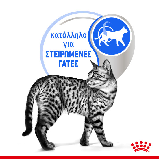 ROYAL CANIN INDOOR JELLY 12X ROYAL CANIN INDOOR JELLY 12X