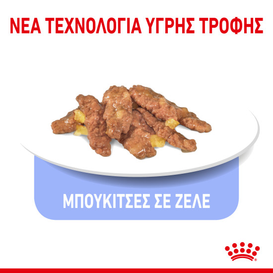 ROYAL CANIN INDOOR JELLY 12X ROYAL CANIN INDOOR JELLY 12X