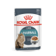 ROYAL CANIN HAIRBALL CARE GRAVY 12X