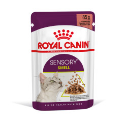 ROYAL CANIN SENSORY SMELL  GRAVY 12X