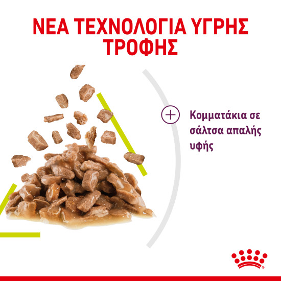 ROYAL CANIN SENSORY SMELL GRAVY 12X ROYAL CANIN SENSORY SMELL GRAVY 12X