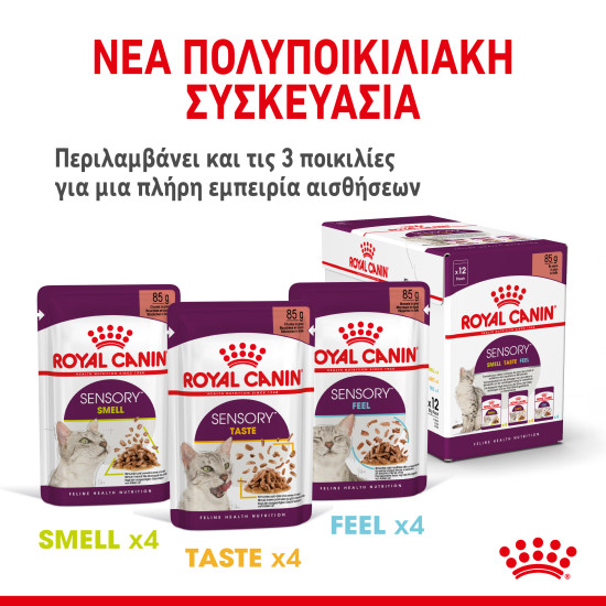 ROYAL CANIN SENSORY SMELL GRAVY 12X ROYAL CANIN SENSORY SMELL GRAVY 12X