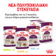ROYAL CANIN SENSORY SMELL GRAVY 12X ROYAL CANIN SENSORY SMELL GRAVY 12X