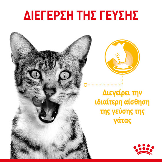 ROYAL CANIN SENSORY TASTE GRAVY 12X ROYAL CANIN SENSORY TASTE GRAVY 12X