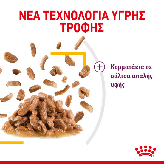 ROYAL CANIN SENSORY TASTE GRAVY 12X ROYAL CANIN SENSORY TASTE GRAVY 12X
