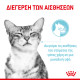 ROYAL CANIN SENSORY FEEL GRAVY 12X ROYAL CANIN SENSORY FEEL GRAVY 12X