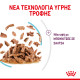 ROYAL CANIN SENSORY FEEL GRAVY 12X ROYAL CANIN SENSORY FEEL GRAVY 12X