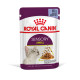 ROYAL CANIN SENSORY SMELL JELLY 12X ROYAL CANIN SENSORY SMELL JELLY 12X