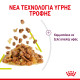 ROYAL CANIN SENSORY SMELL JELLY 12X ROYAL CANIN SENSORY SMELL JELLY 12X