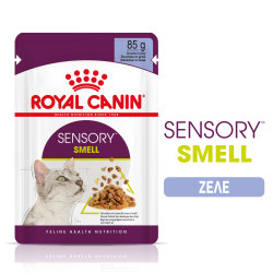 ROYAL CANIN SENSORY SMELL JELLY 12X