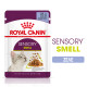 ROYAL CANIN SENSORY SMELL JELLY 12X ROYAL CANIN SENSORY SMELL JELLY 12X