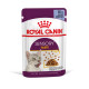 ROYAL CANIN SENSORY TASTE JELLY 12X ROYAL CANIN SENSORY TASTE JELLY 12X
