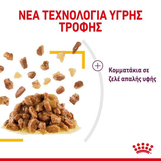 ROYAL CANIN SENSORY TASTE JELLY 12X ROYAL CANIN SENSORY TASTE JELLY 12X