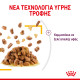 ROYAL CANIN SENSORY TASTE JELLY 12X ROYAL CANIN SENSORY TASTE JELLY 12X