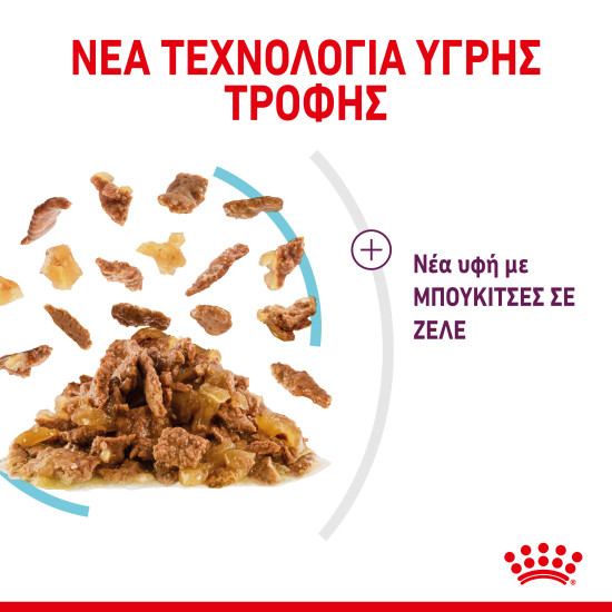 ROYAL CANIN SENSORY FEEL JELLY 12X ROYAL CANIN SENSORY FEEL JELLY 12X