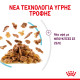 ROYAL CANIN SENSORY FEEL JELLY 12X ROYAL CANIN SENSORY FEEL JELLY 12X